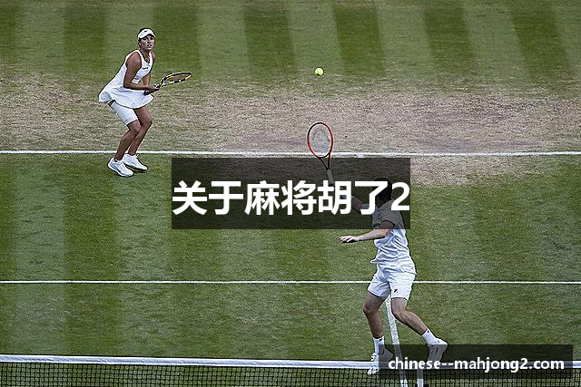 关于麻将胡了2